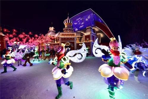 冰上狂欢,冰上狂欢的奇幻之旅