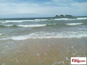 海滩的一天,阳光、海浪与欢乐时光的完美融合